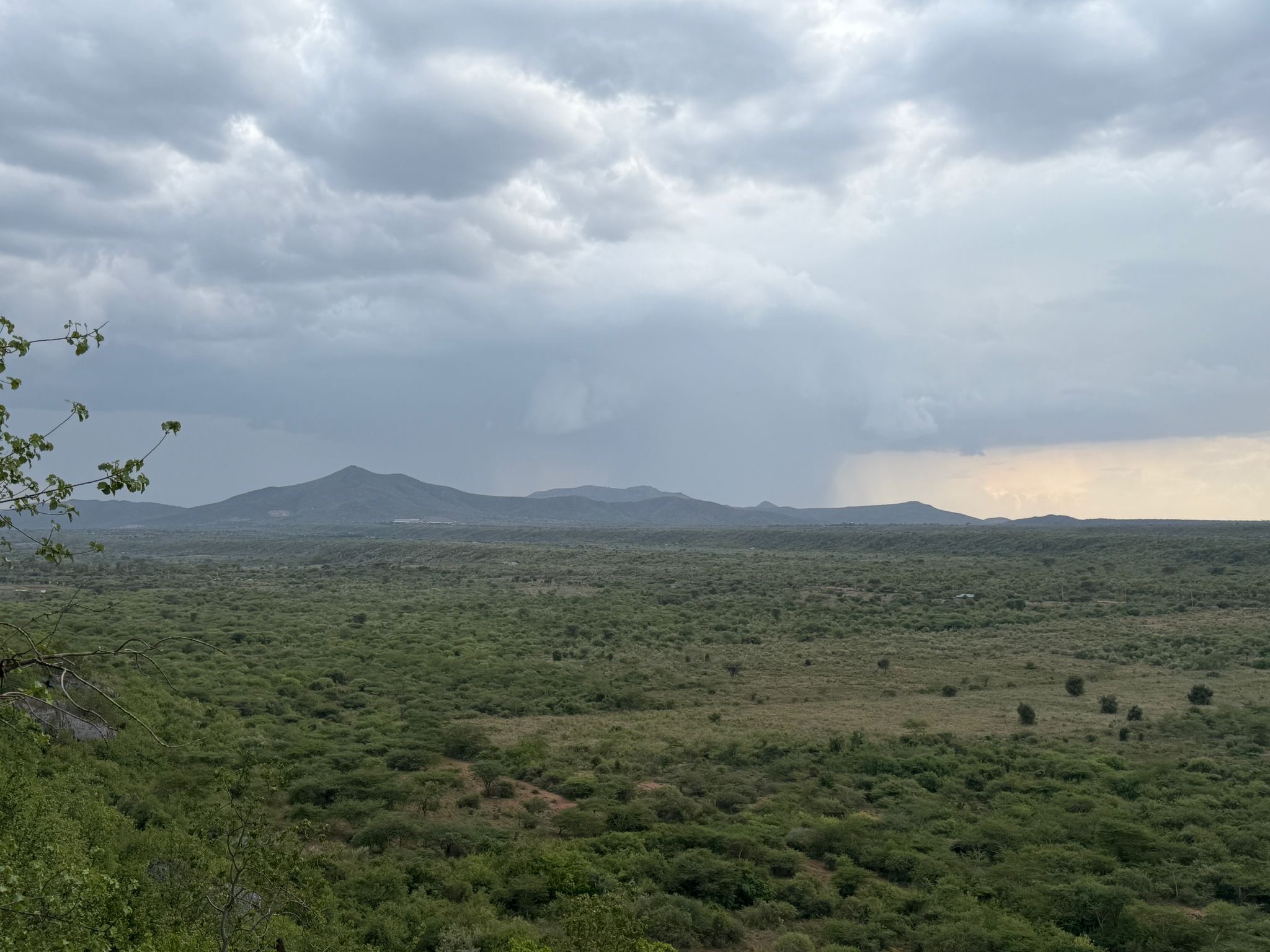 The Kenyan bush stretching south from the farm