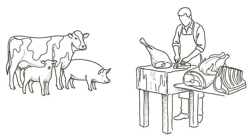 Line drawing of a cow, sheep and pig beside a butcher at the block